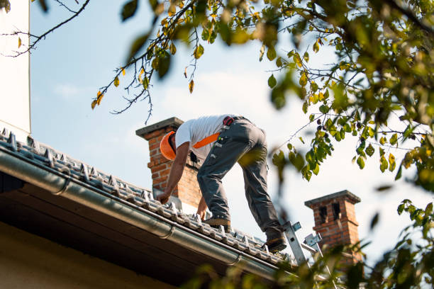 Best Roof Maintenance Services  in Ulysses, KS