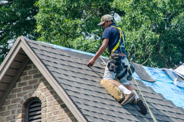 Best Roof Maintenance Services  in Ulysses, KS